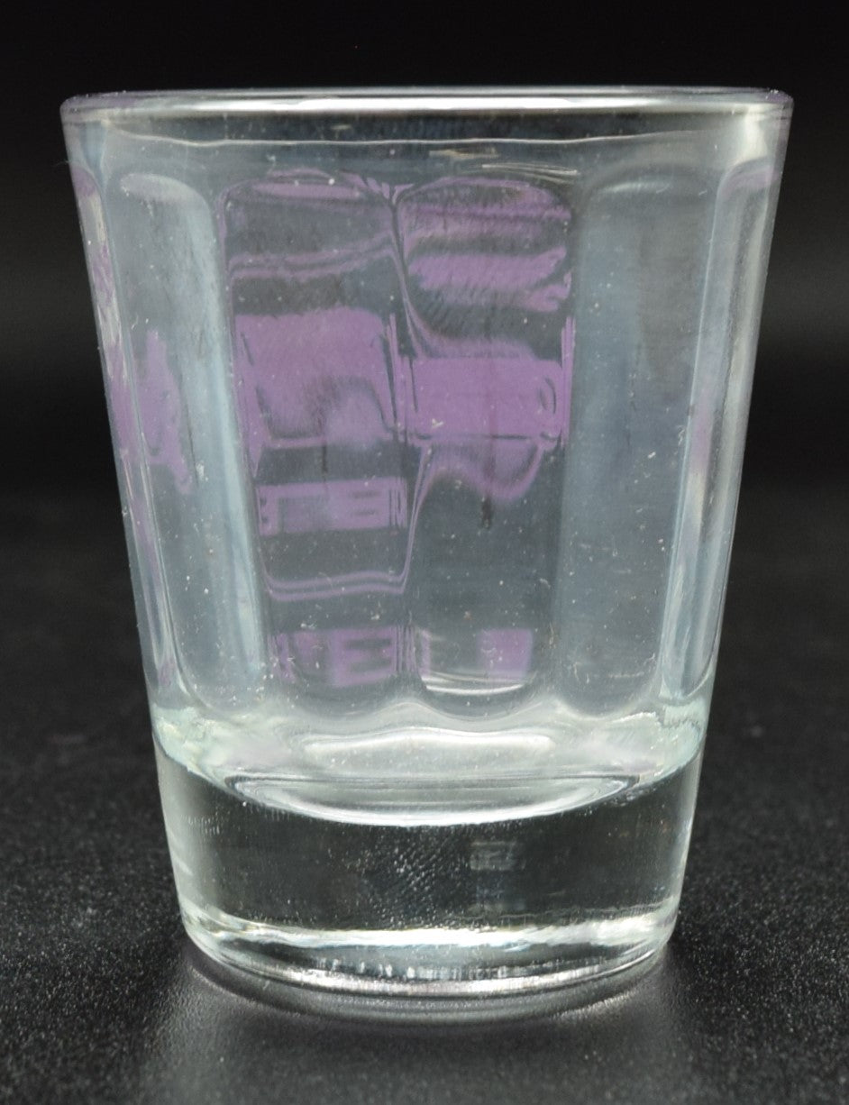 Hard Rock Casino Las Vegas Nevada Purple Logo Shot Glass