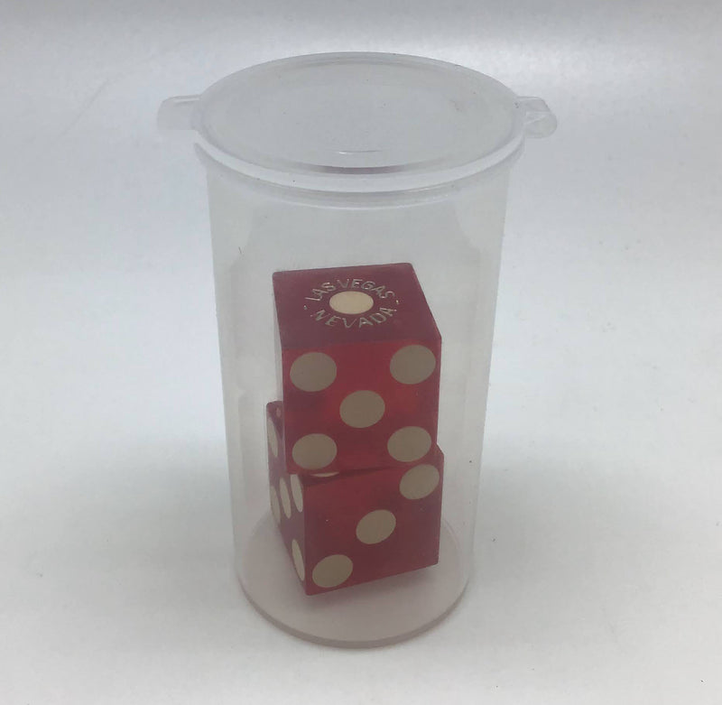 Dice Storage Vial Clear